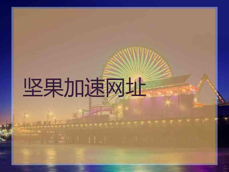 坚果加速网址