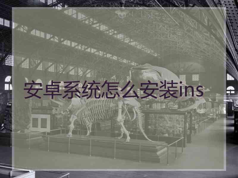 安卓系统怎么安装ins