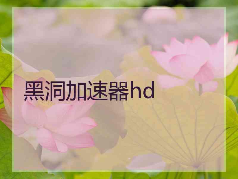 黑洞加速器hd