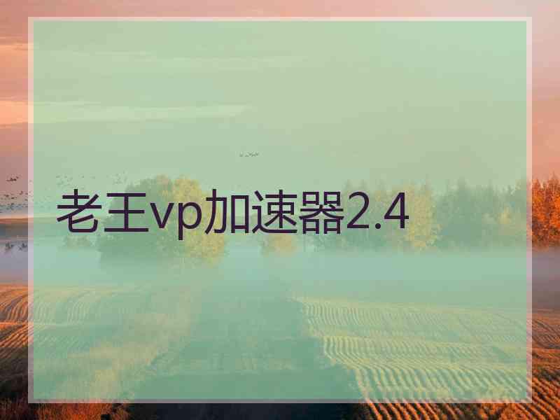 老王vp加速器2.4