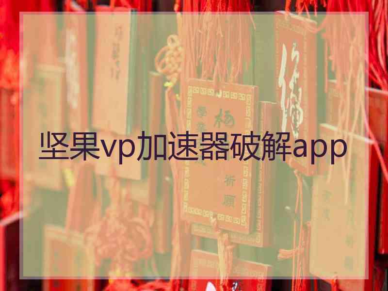 坚果vp加速器破解app