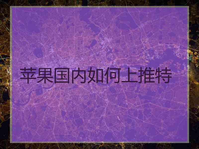 苹果国内如何上推特