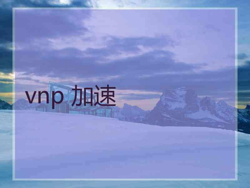 vnp 加速