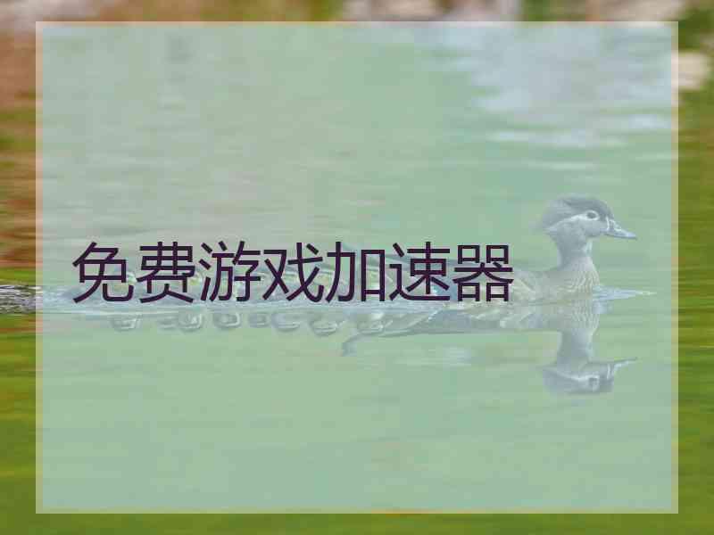 免费游戏加速器