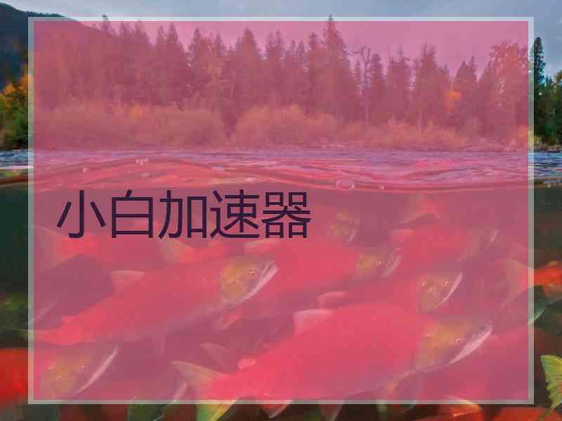 小白加速器