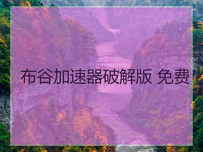布谷加速器破解版 免费