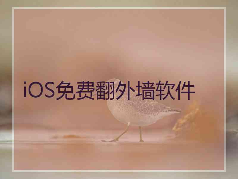 iOS免费翻外墙软件