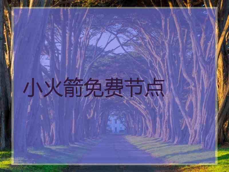小火箭免费节点