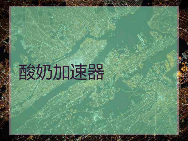 酸奶加速器
