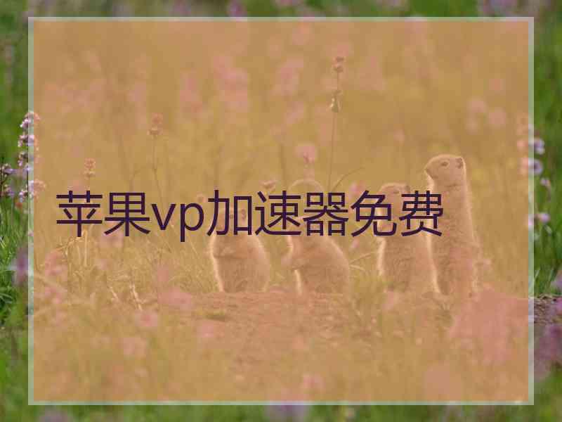 苹果vp加速器免费