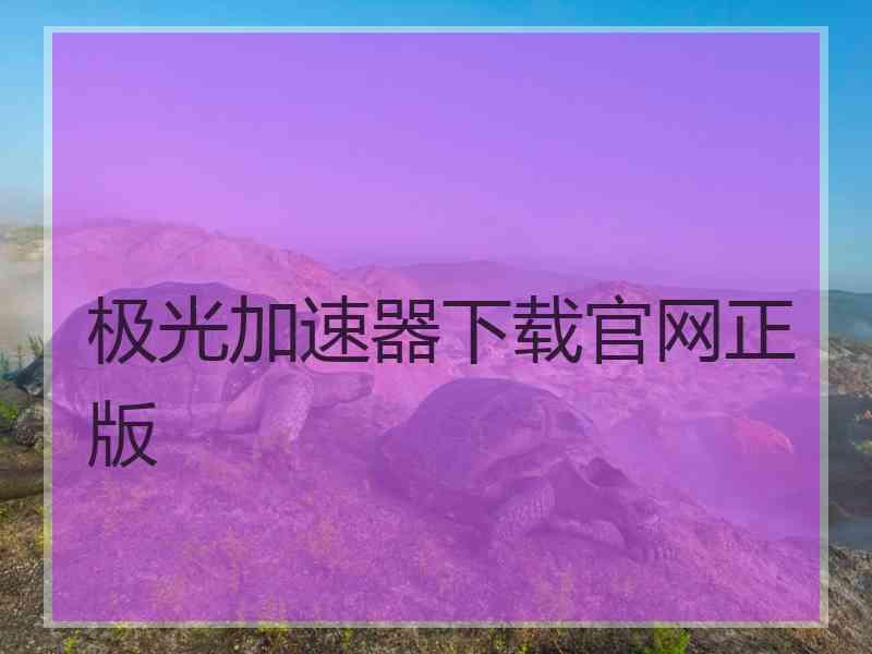 极光加速器下载官网正版
