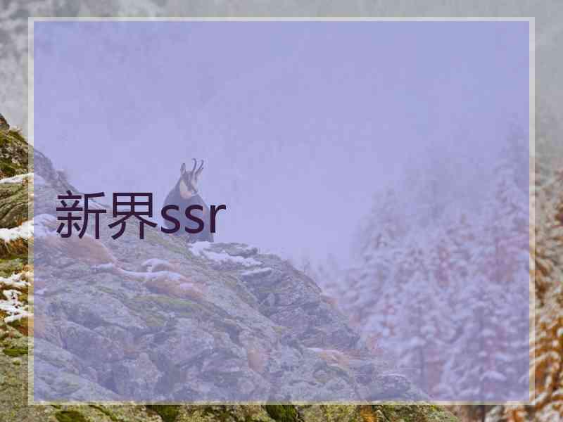 新界ssr