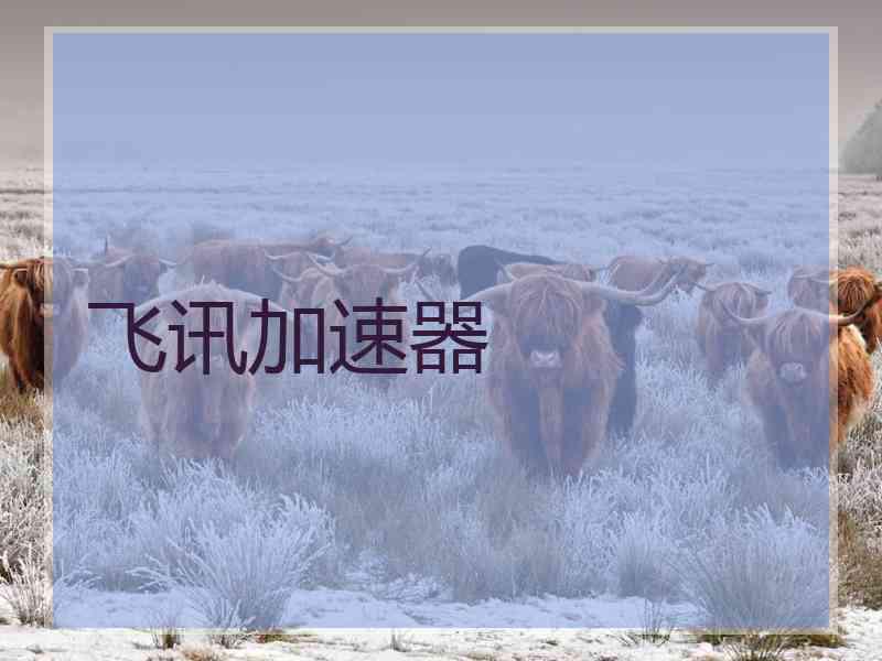 飞讯加速器