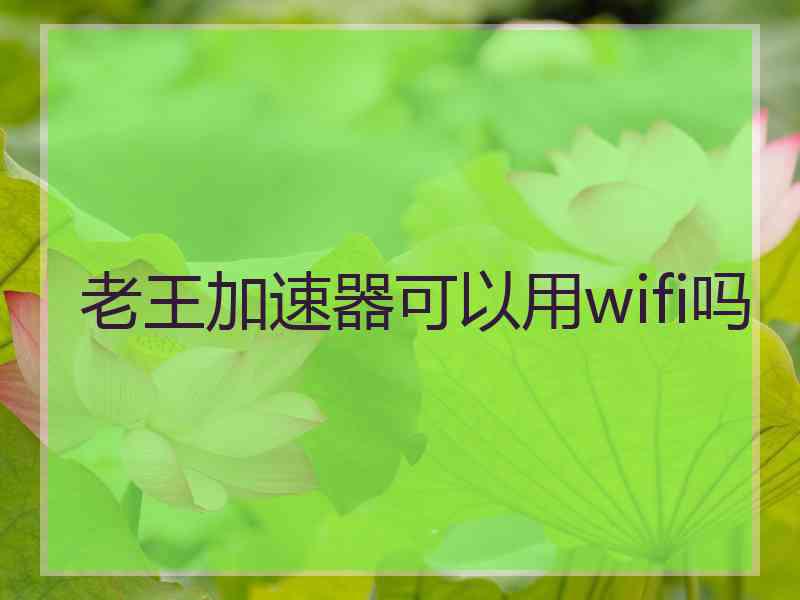 老王加速器可以用wifi吗