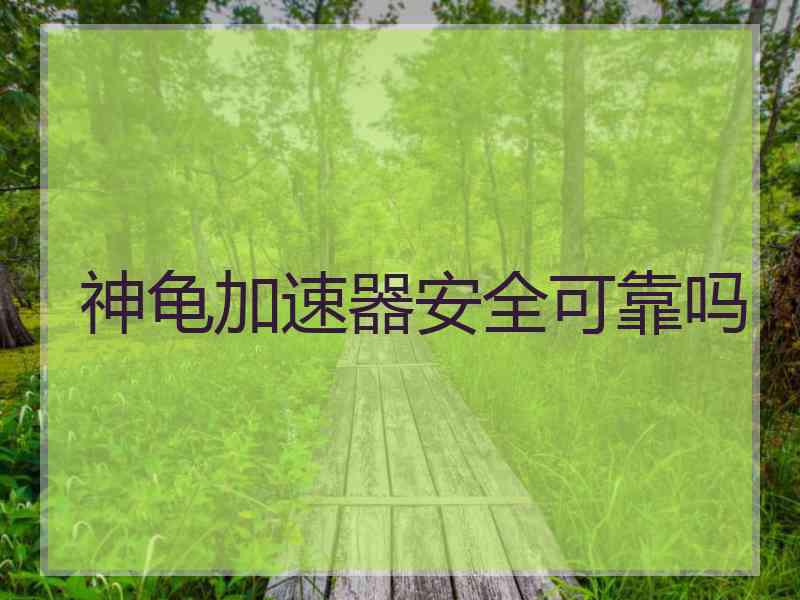 神龟加速器安全可靠吗
