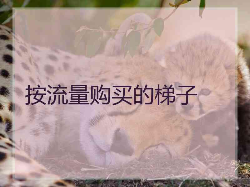 按流量购买的梯子