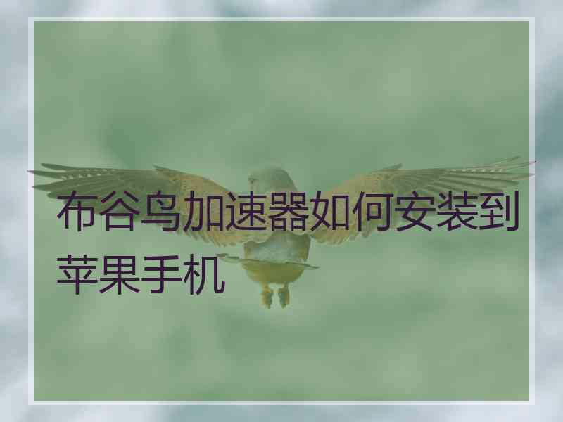 布谷鸟加速器如何安装到苹果手机