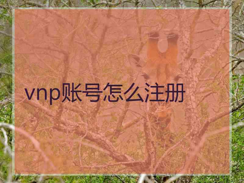 vnp账号怎么注册