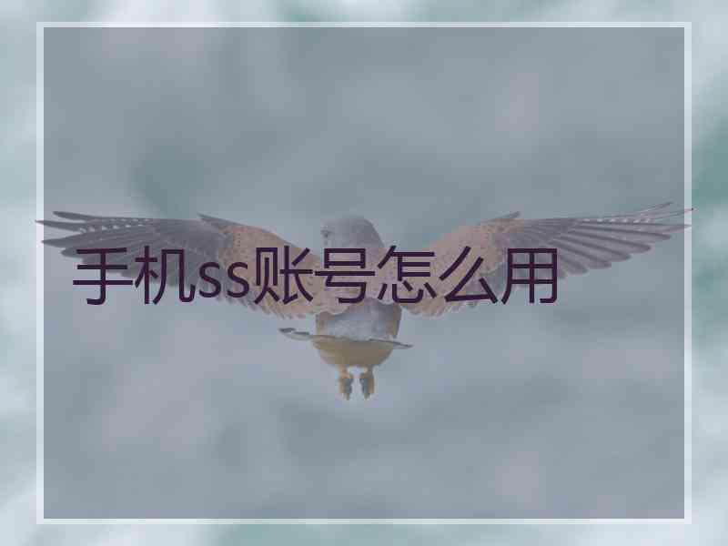 手机ss账号怎么用