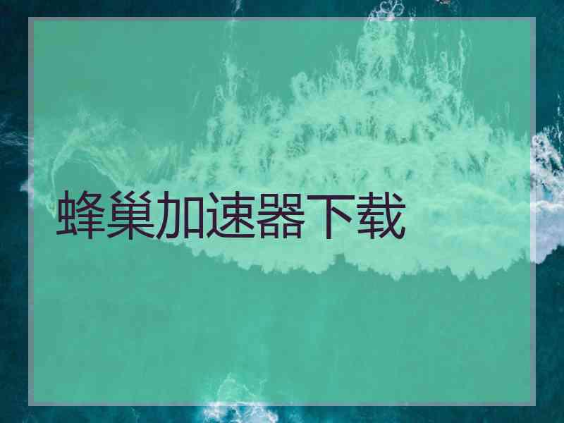 蜂巢加速器下载