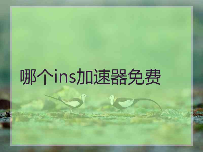 哪个ins加速器免费