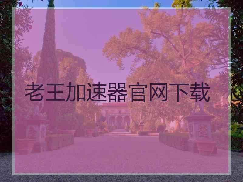老王加速器官网下载