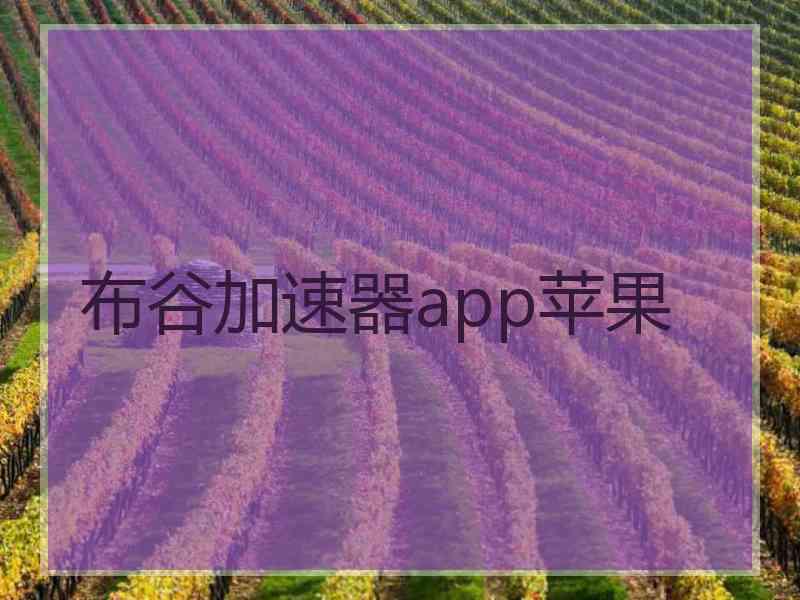 布谷加速器app苹果