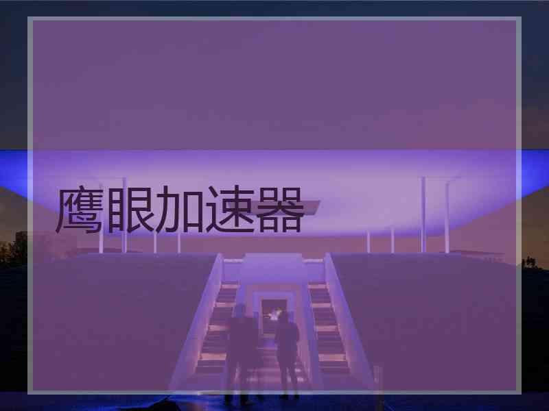 鹰眼加速器