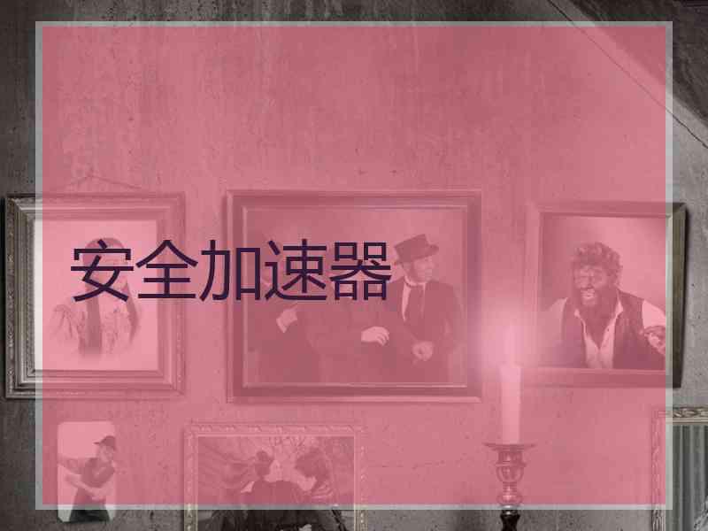 安全加速器