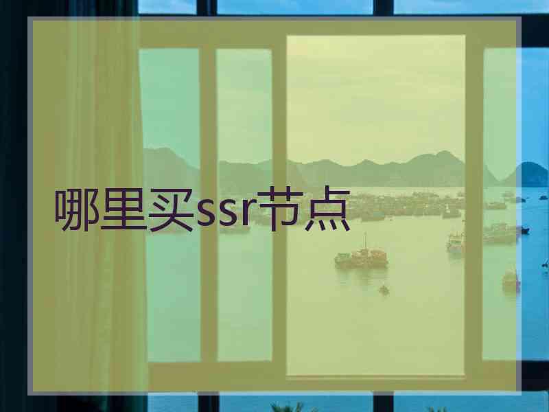哪里买ssr节点