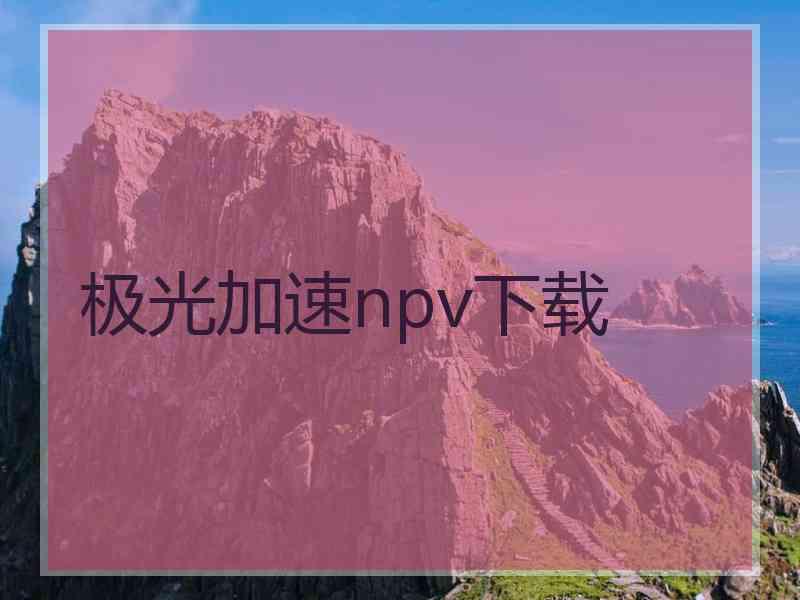 极光加速npv下载