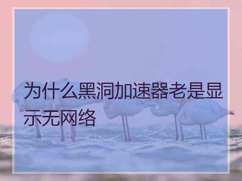 为什么黑洞加速器老是显示无网络