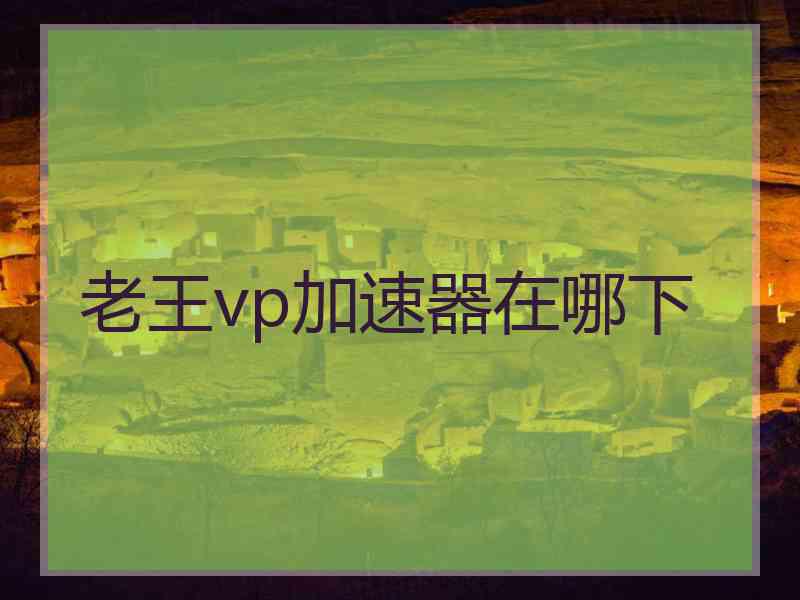 老王vp加速器在哪下