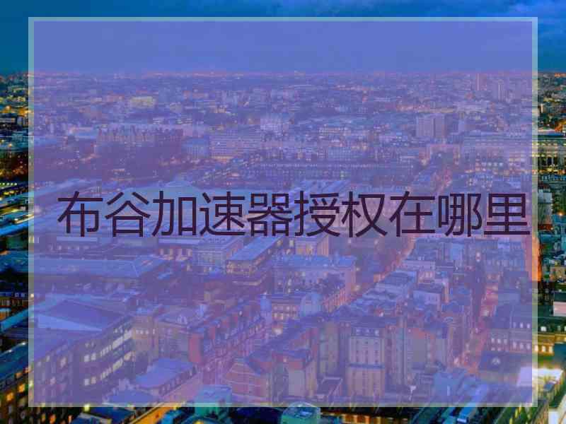 布谷加速器授权在哪里