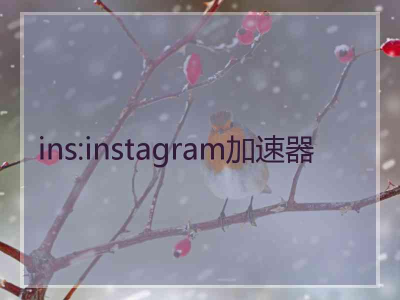 ins:instagram加速器