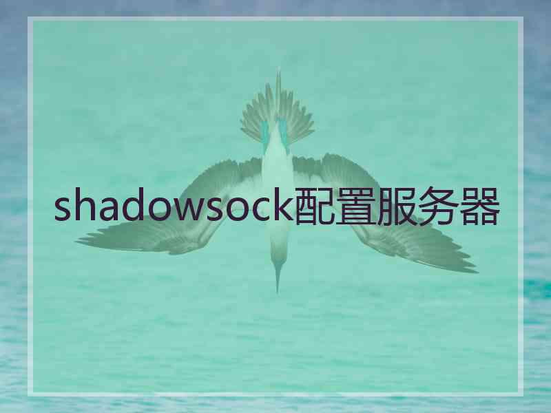 shadowsock配置服务器