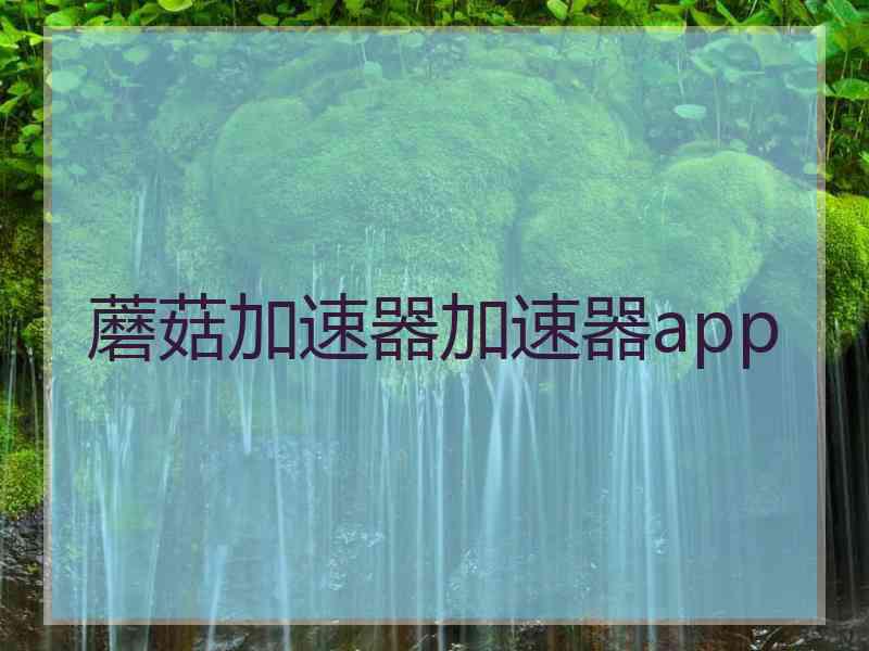 蘑菇加速器加速器app