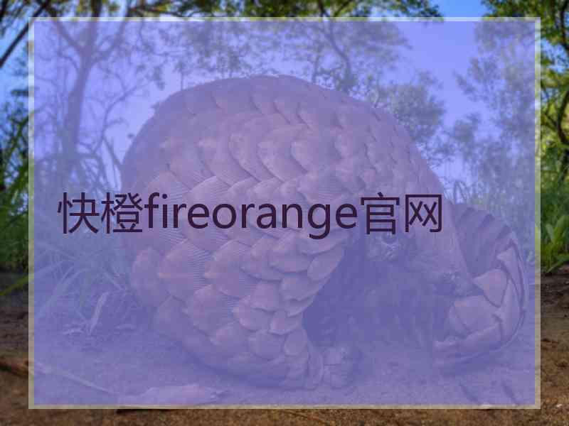 快橙fireorange官网