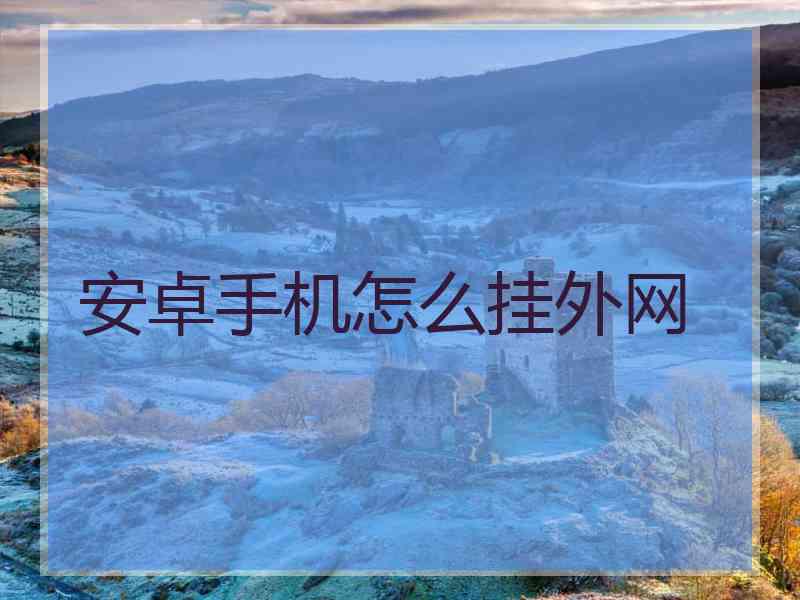 安卓手机怎么挂外网
