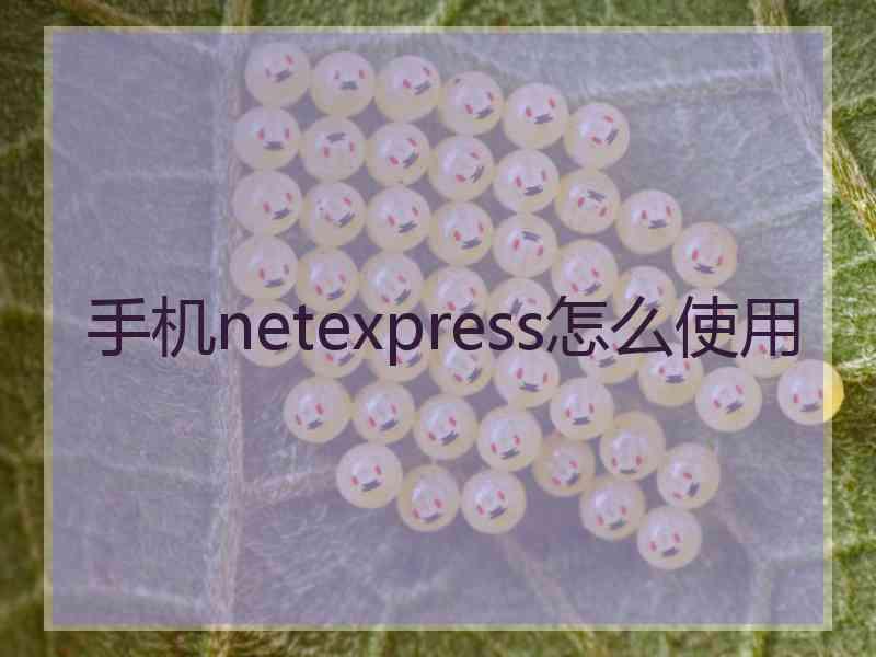 手机netexpress怎么使用