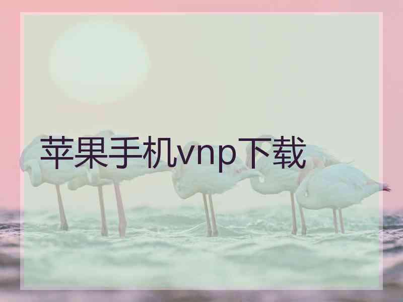苹果手机vnp下载