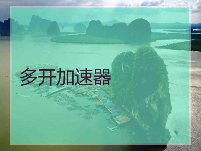 多开加速器