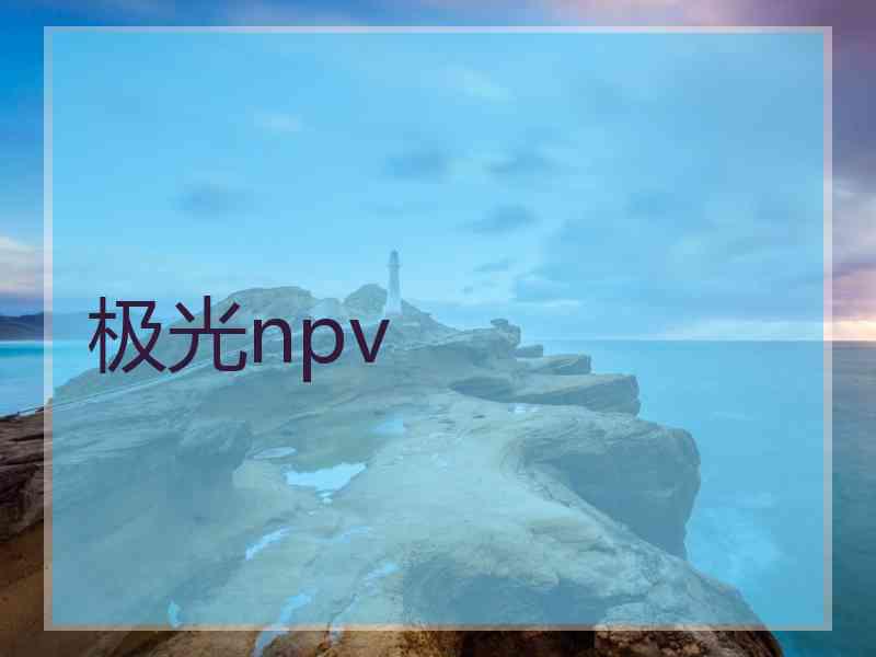 极光npv