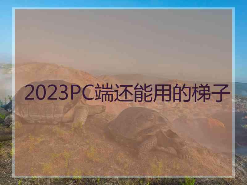 2023PC端还能用的梯子
