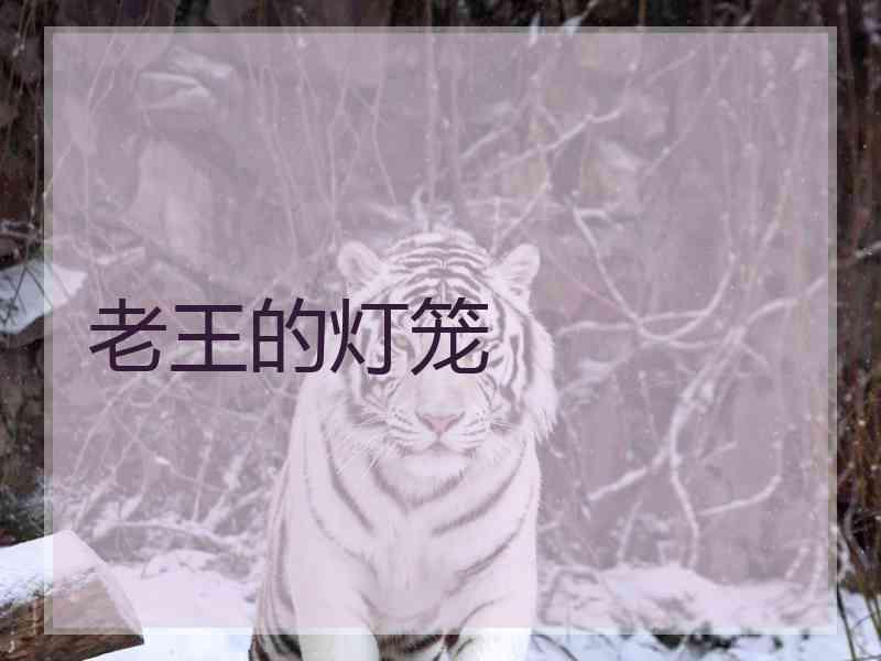 老王的灯笼