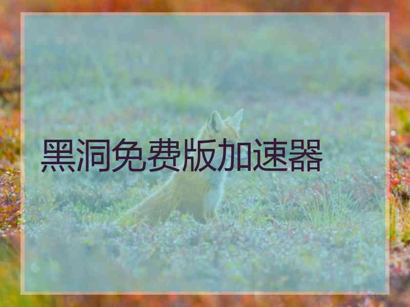 黑洞免费版加速器