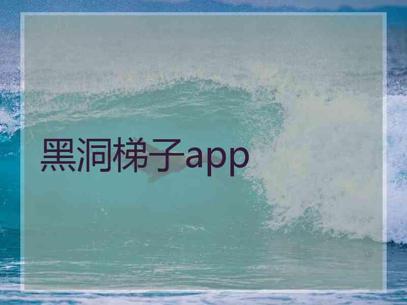 黑洞梯子app