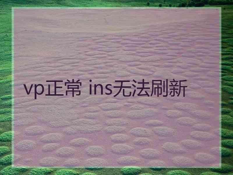 vp正常 ins无法刷新