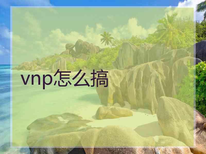 vnp怎么搞