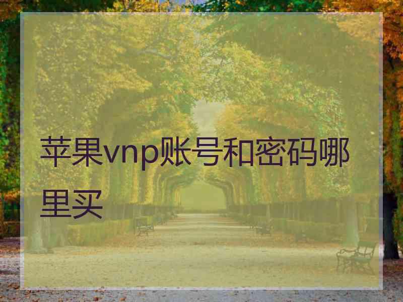 苹果vnp账号和密码哪里买